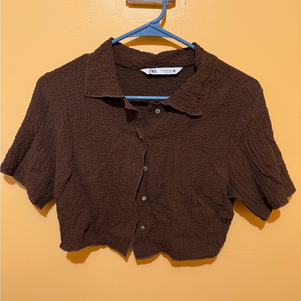 Zara Brown Cropped Button Down Shirt